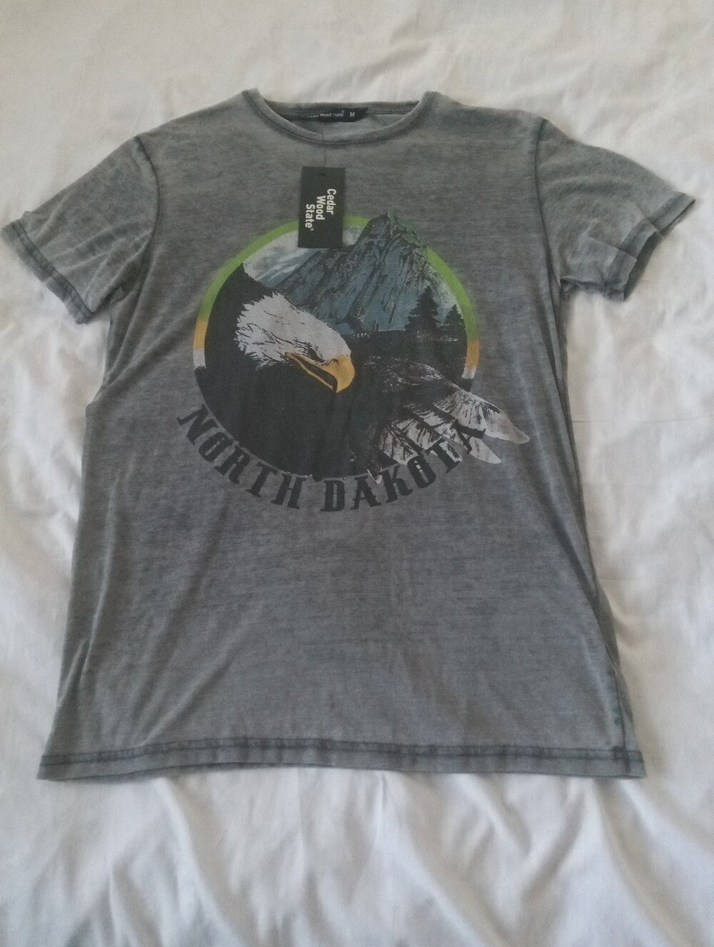 Cedarwood State North Dakota Graphic Eagle Men's Gray Crew Neck T-Shirt
